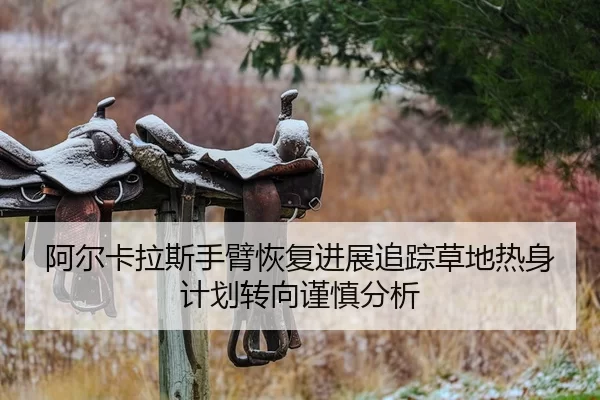 a-er-ka-la-si-shou-bi-hui-fu-jin-zhan-zhui-zong-cao-di-re-shen-ji-hua-zhuan-xiang-jin-shen-fen-xi-2-218.jpg