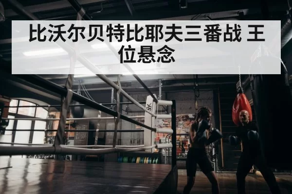 boxer training